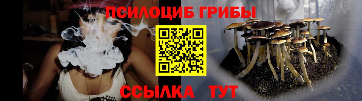 Елец  Псилоцибиновые грибы MAGIC MUSHROOMS  Галлюциногенные грибы GOLDEN TEACHER  Вход с VPN 